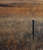 Christen Occupational Therapy, PC